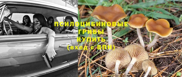 таблы Ладушкин