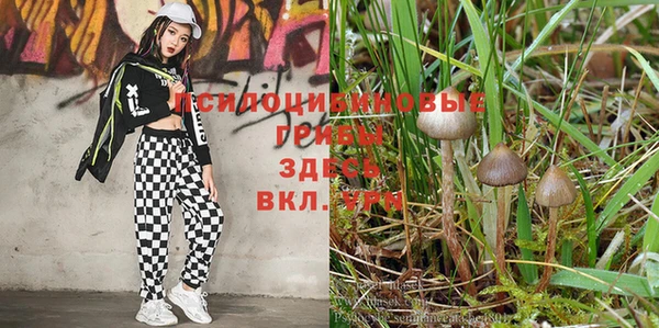 mix Лагань