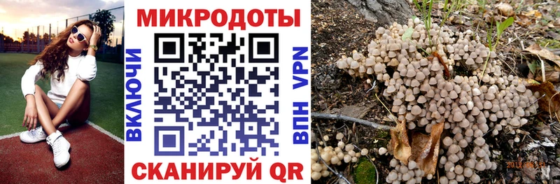 Псилоцибиновые грибы GOLDEN TEACHER Сухой Лог