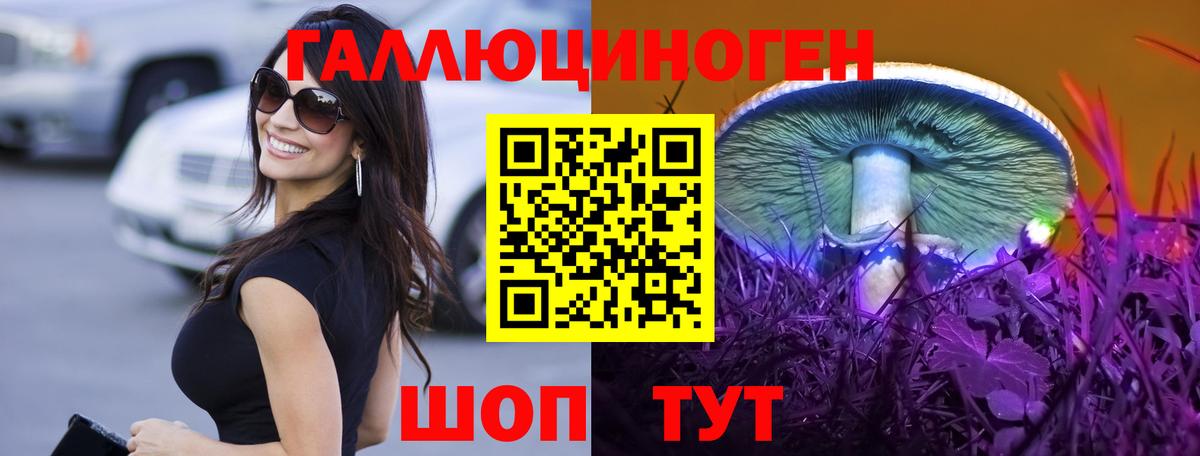 хочу   Псилоцибиновые грибы Cubensis  Вход с VPN  Сухой Лог 